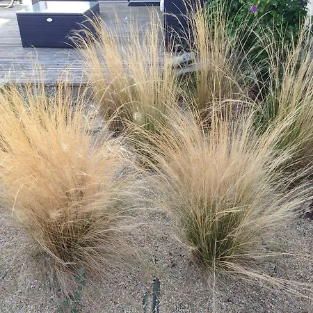 Βίλα La Nantaise De La