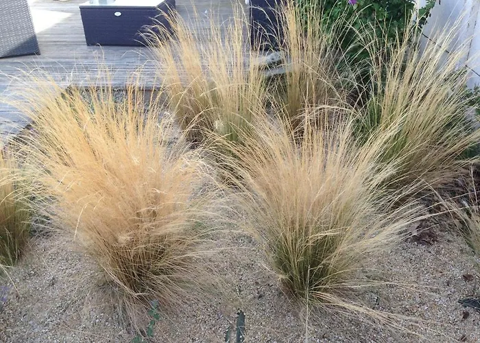 Villa La Nantaise De La